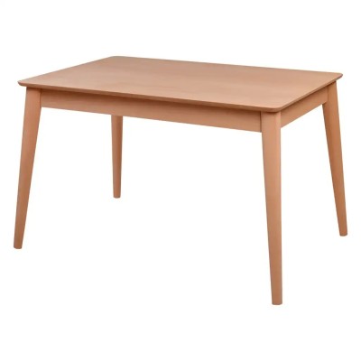 RETRO SABİT MASA 120'LİK