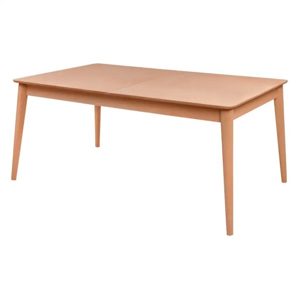 RETRO İLAVELİ MASA 170'LİK