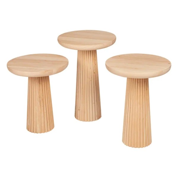 FİTİLLİ MANTAR ZİGON